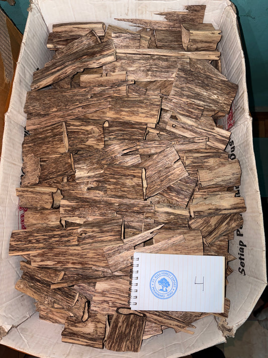 Oud Chips Grade C (Level 4) - Sample