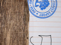 Oud Chips (Grade 5) - Sample