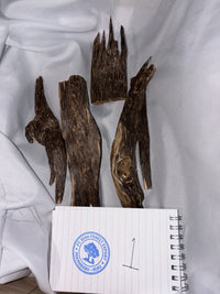 Oud Chips Super Grade (Level 1) - Sample