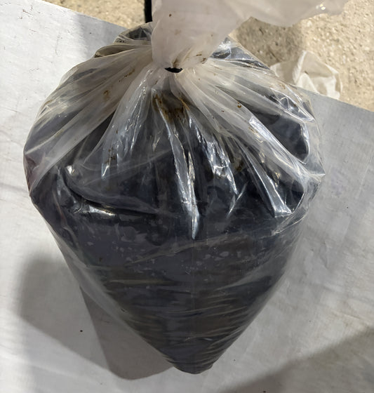 Oud Resin (100g) - Sample